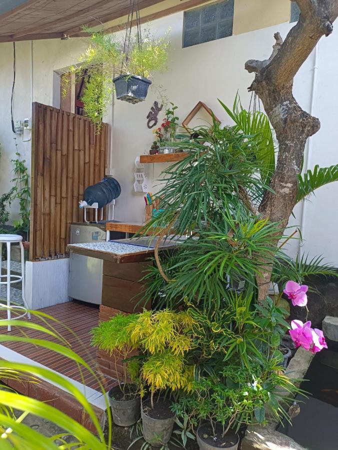 Dalum Homestay آميدْ المظهر الخارجي الصورة